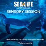 sensory session webpage 2